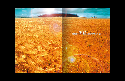 食品畫冊設(shè)計